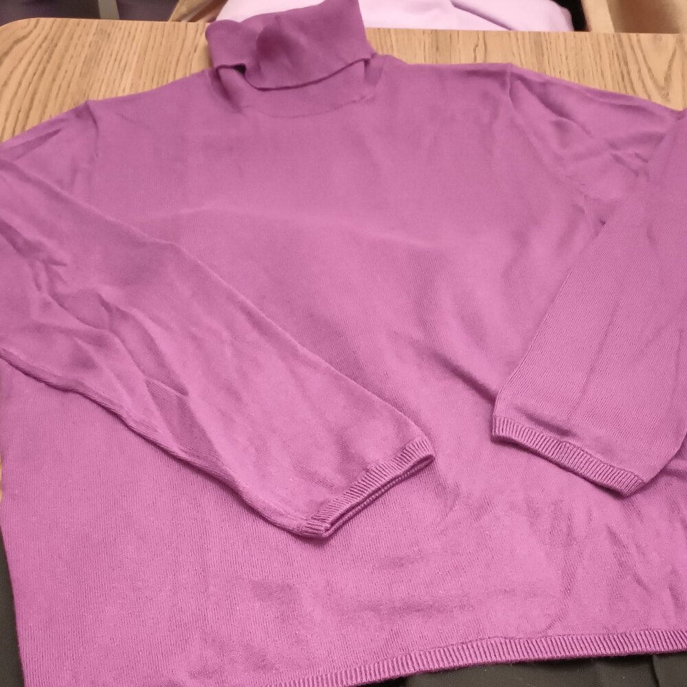 Ann Taylor Size XXL Pink Turtleneck Sweater (NWT)